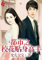 都市之校花贴身高手