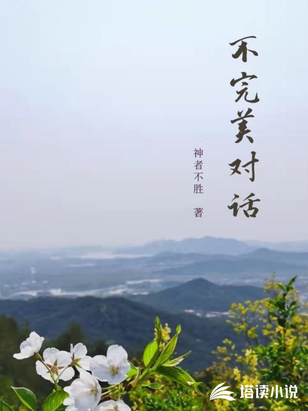 不完美对话