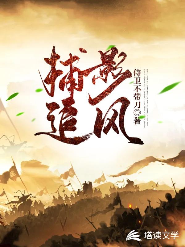 捕影追风