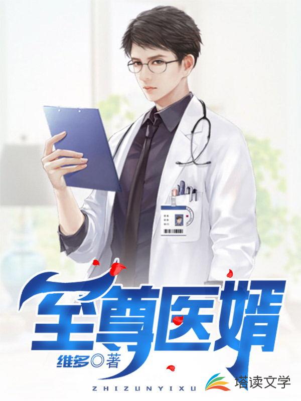至尊医婿