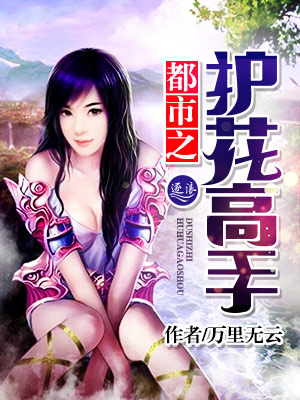 都市之护花高手