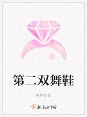 第二双舞鞋