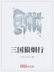 三国狼烟行