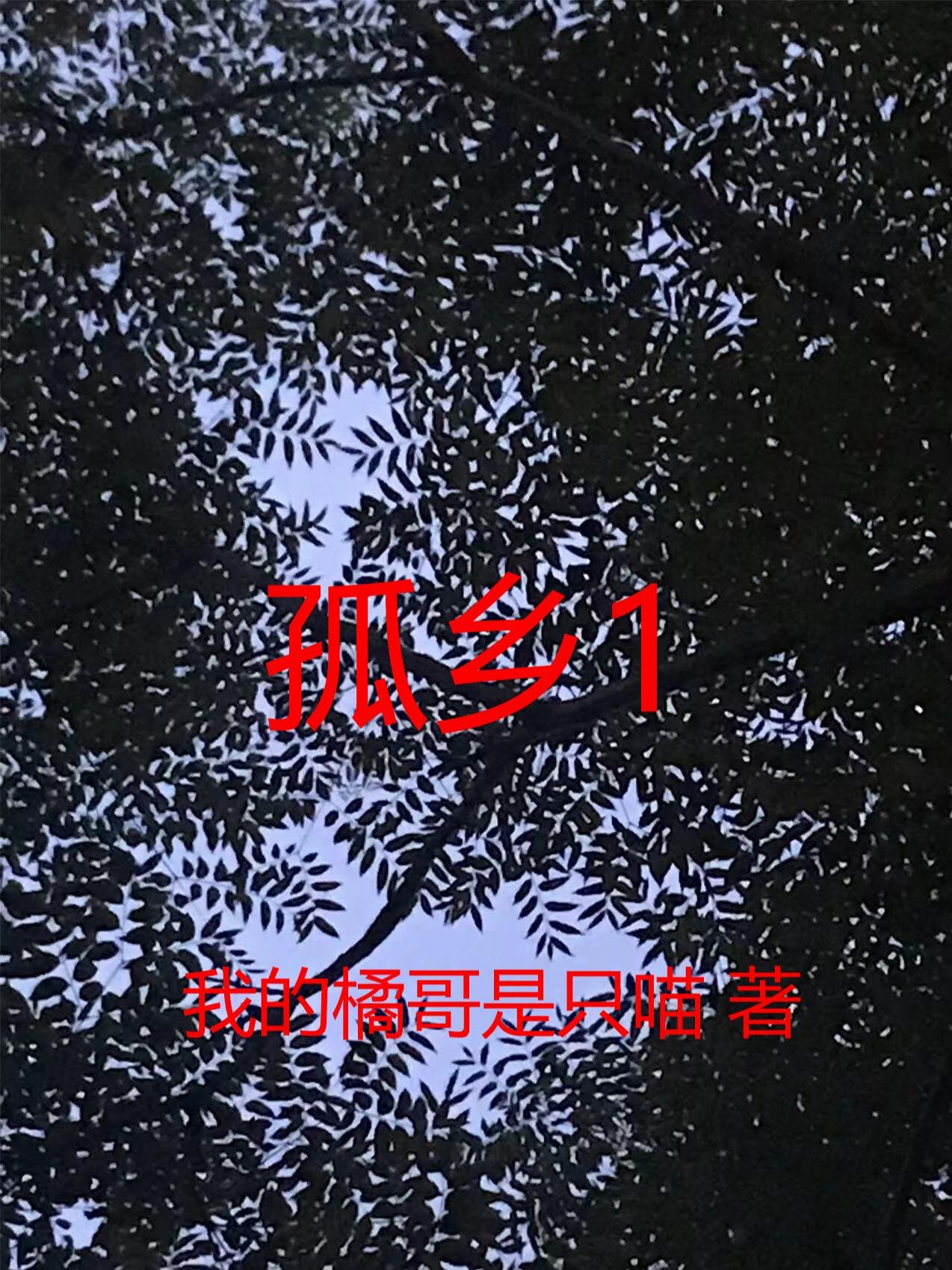 孤乡1