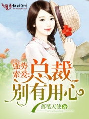 言先生的心上欢