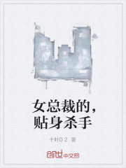 女总裁的贴身杀手