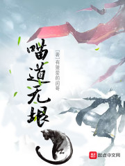 喵道无垠