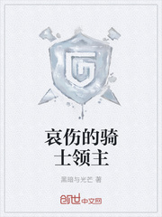 哀伤的骑士领主