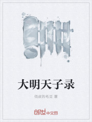 大明天子录