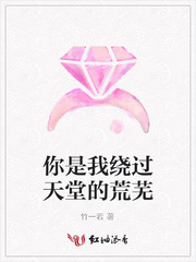 你是我绕过天堂的荒芜