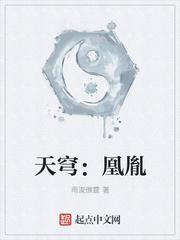 天穹：凰胤