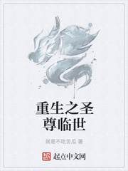 重生之圣尊临世