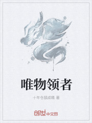 唯物领者