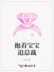 抱着宝宝追总裁