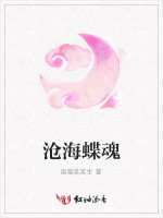 沧海蝶魂