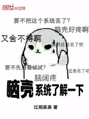 脑壳系统了解一下