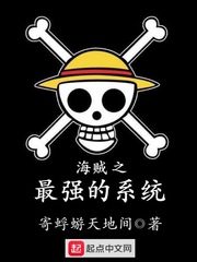 海贼之最强的系统