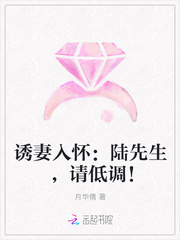 诱妻入怀：陆先生，请低调！