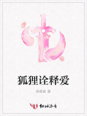 狐狸诠释爱