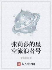 星空流浪者