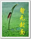 深山少年之玩转都市