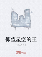 仰望星空的王