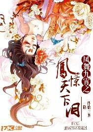 凤舞九霄之凤惊天下泪