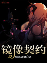 镜像契约