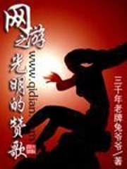 网游之光明的赞歌