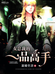 一品高手