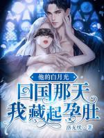 沈云雾秦夜