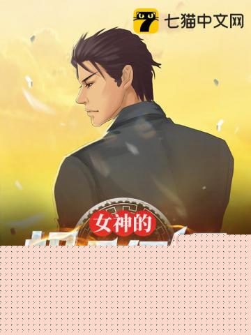 女神的极品保镖