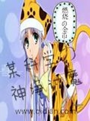 魔法的不良目录