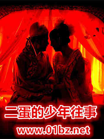 二蛋的少年往事